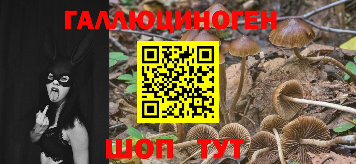 Галлюциногенные грибы Cubensis Каменск-Шахтинский