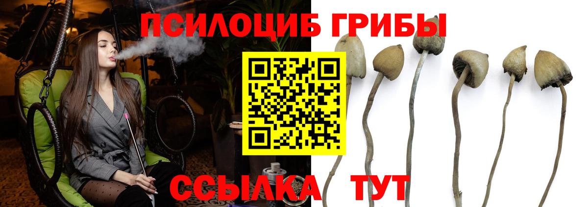 Псилоцибиновые грибы GOLDEN TEACHER  Вход с VPN  Каменск-Шахтинский  Псилоцибиновые грибы Psilocybe 